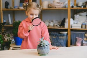 Leia mais sobre o artigo [5 Dicas] Como cultivar suculentas em um minijardim