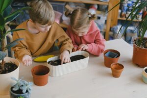 Leia mais sobre o artigo Guia completo para criar um minijardim para crianças
