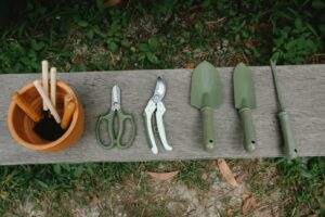 Leia mais sobre o artigo Ferramentas para montar um minijardim com crianças: guia prático para iniciantes