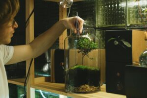 Leia mais sobre o artigo Como ensinar ciclos da natureza com um terrário em pote de vidro