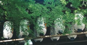 Leia mais sobre o artigo Como usar garrafa pet para fazer uma horta vertical