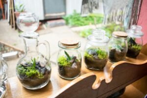 Leia mais sobre o artigo Como fazer mini terrário para lembrancinha de aniversário